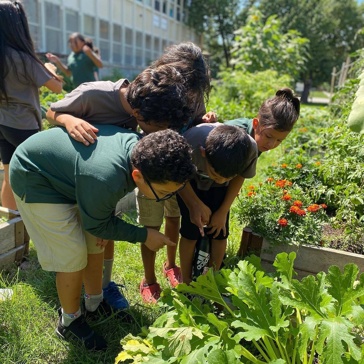 A group of children observe pollenators in the garden